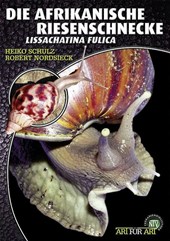 Die Afrikanische Riesenschnecke - Achatina Fulica