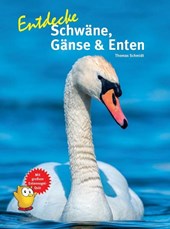 Entdecke Schwäne, Gänse & Enten