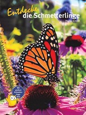 Entdecke die Schmetterlinge