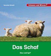 Das Schaf
