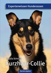 Kurzhaar-Collie