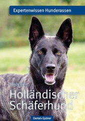 Holländischer Schäferhund