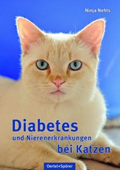 Diabetes und Nierenerkrankungen bei Katzen