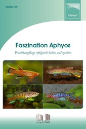 Faszination Aphyos