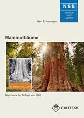 Mammutbäume