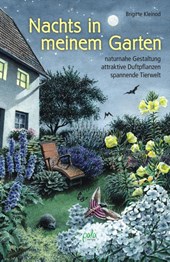 Nachts in meinem Garten