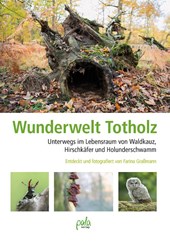 Wunderwelt Totholz