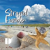 Strandfunde am Ostseestrand