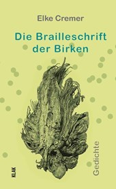 Die Brailleschrift der Birken
