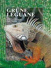 Grüne Leguane