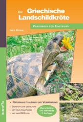 Die Griechische Landschildkröte