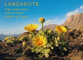 Lanzarote - Leben auf Lava
