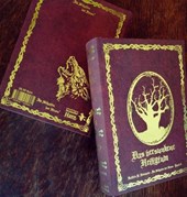 Im Schatten der Hexen VI