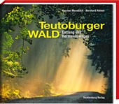 Teutoburger Wald