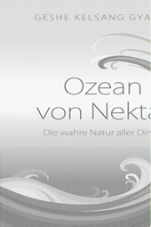 Ozean von Nektar