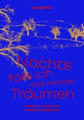 Nachts falle ich aus meinen Träumen