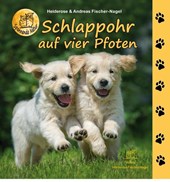 Schlappohr auf vier Pfoten