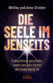 DIE SEELE IM JENSEITS