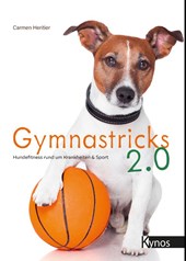 Gymnastricks 2.0