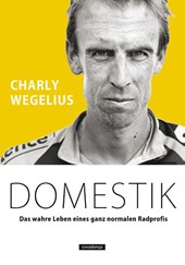 Domestik