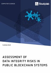 Assessment of Data Integrity Risks in Public Blockchain Systems