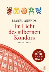 Im Licht des silbernen Kondors. Erzählungen