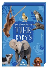 Die 100 süßesten Tierbabys