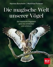 Die magische Welt unserer Vögel