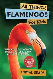 All Things Flamingos For Kids