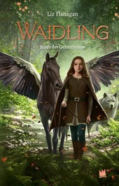 Waidling (Band 2): Stadt der Geheimnisse