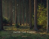 Enter the Forest