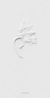 Ephemeral Field Journal