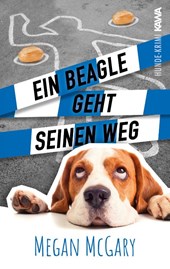 Ein Beagle geht seinen Weg