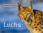 Luchs