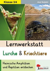 Lernwerkstatt Lurche und Kriechtiere