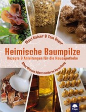 Heimische Baumpilze