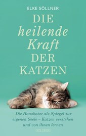 Die heilende Kraft der Katzen