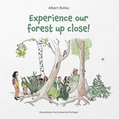 Experience our forest up close!