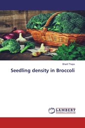 Seedling density in Broccoli