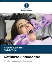 Geführte Endodontie