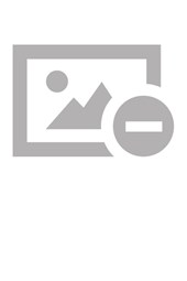 Decentralization as a Precondition for Local Development