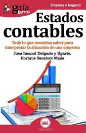 GuiaBurros Estados contables