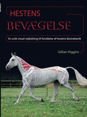 Hestens Bevægelse