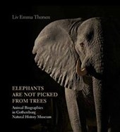 Elephants Are Not Picked from Trees