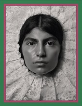 Pieter Henket: Birds of Mexico City