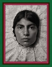 Pieter Henket: Birds of Mexico City