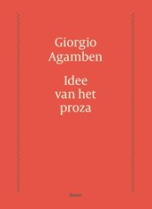 Idee van het proza