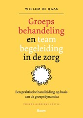 Groepsbehandeling en teambegeleiding in de zorg