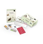 Kwartetten met Vogels - Vier de vogels!