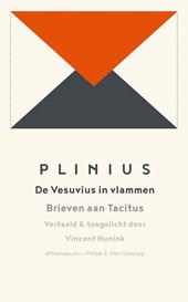 De Vesuvius in vlammen